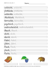 DSS_2S_Bu_h_Nr_11.pdf